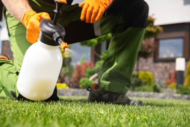 Best Residential Pest Control  in Swissvale, PA